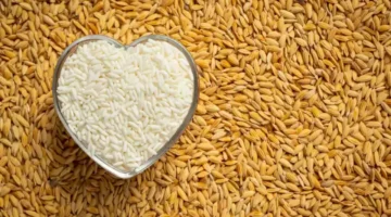 تأكيد صارم.. رقابة مشددة على الأرز والحبوب قبل رمضان